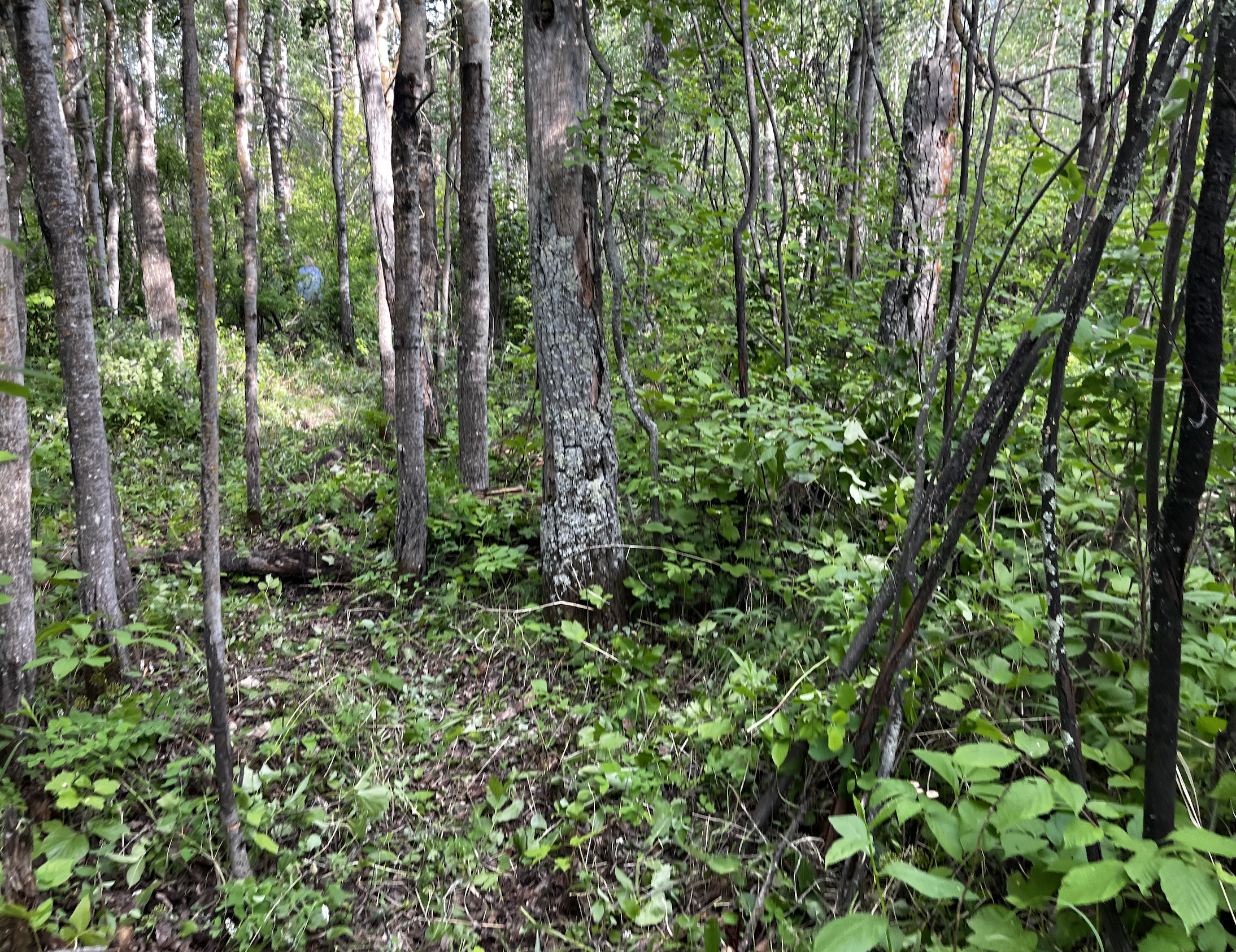 Screenshot 2025-08-22 at 4.54.12 PM