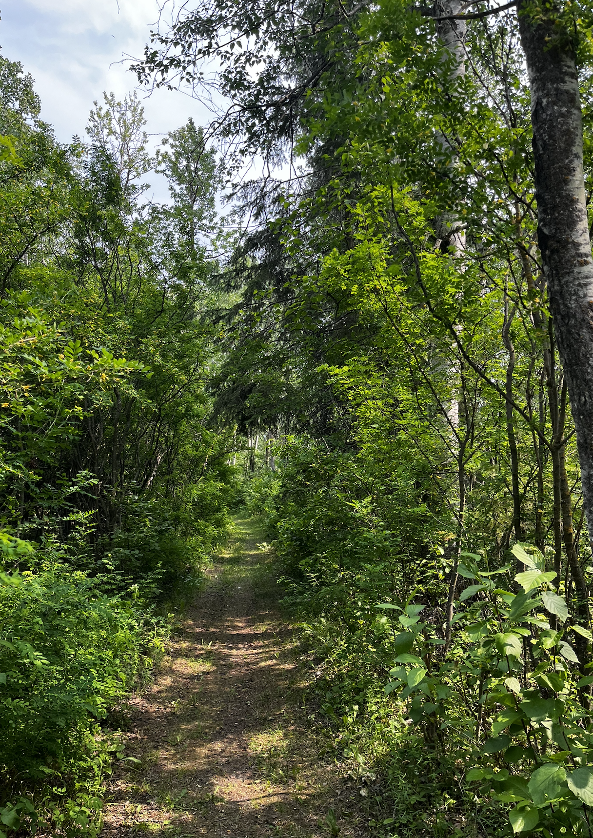 Screenshot 2025-08-22 at 4.54.18 PM