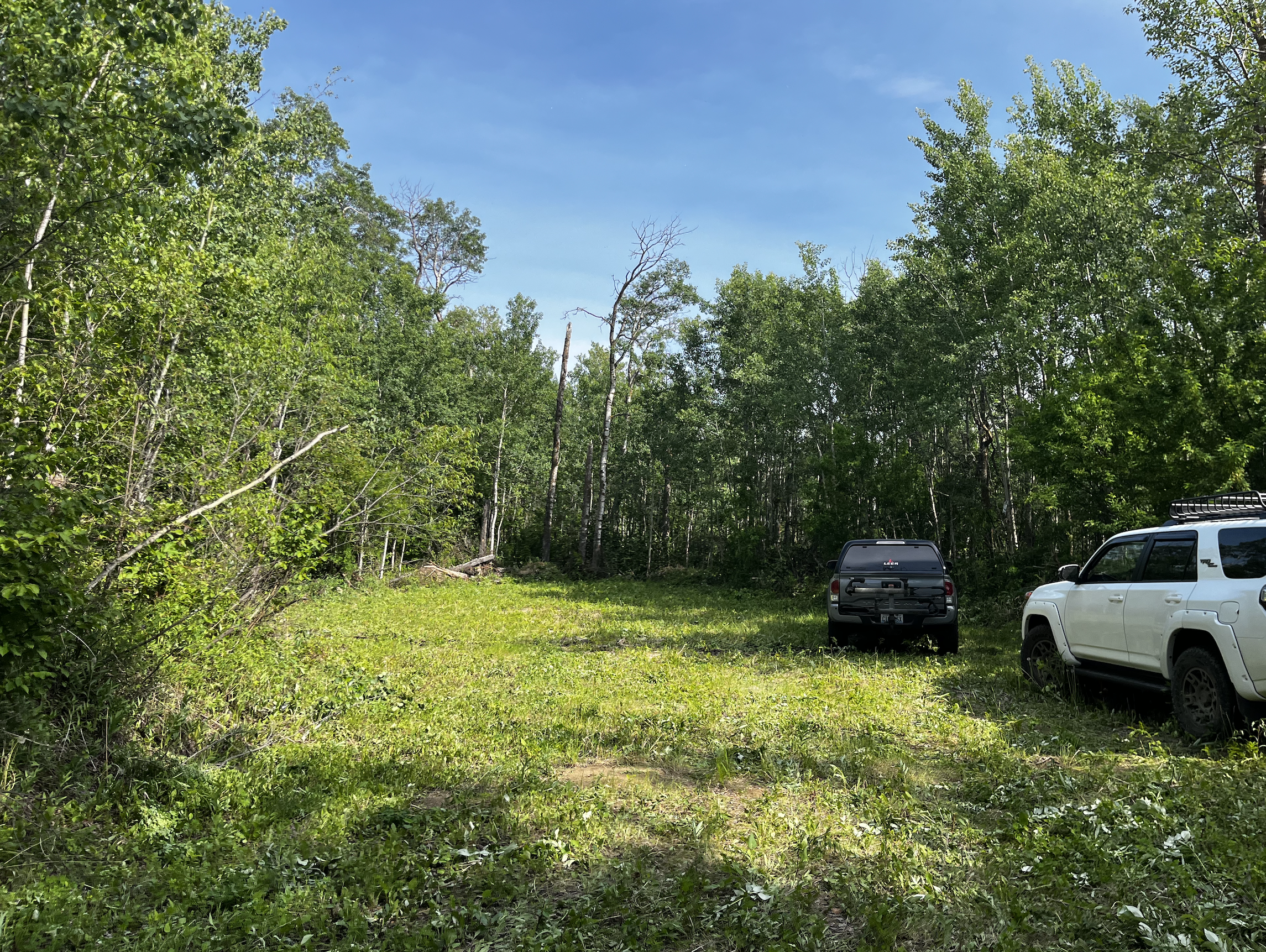 Screenshot 2025-08-22 at 4.53.46 PM