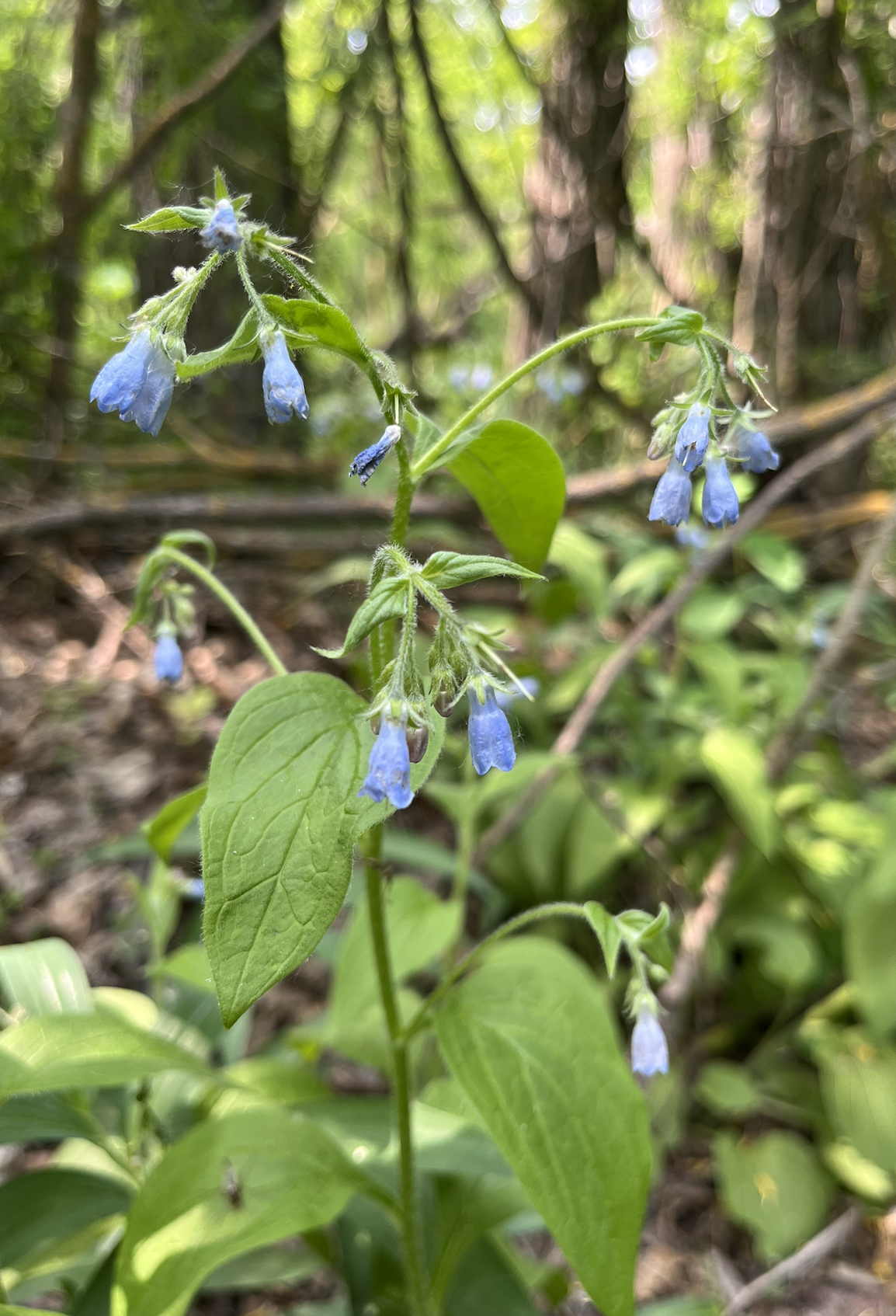 Screenshot 2025-08-22 at 4.53.52 PM