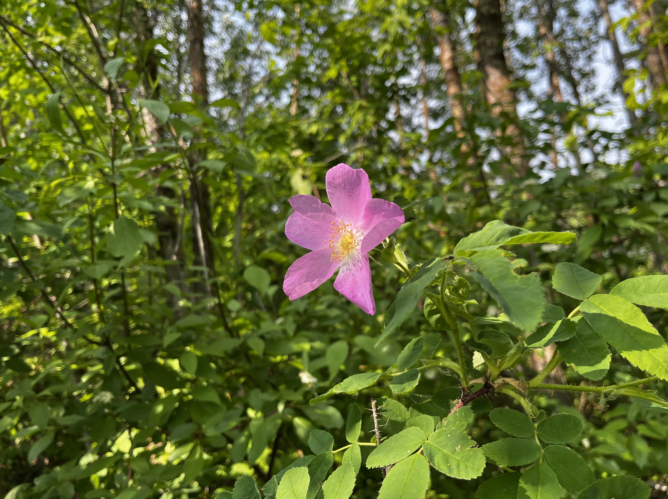 Screenshot 2025-08-22 at 4.53.58 PM