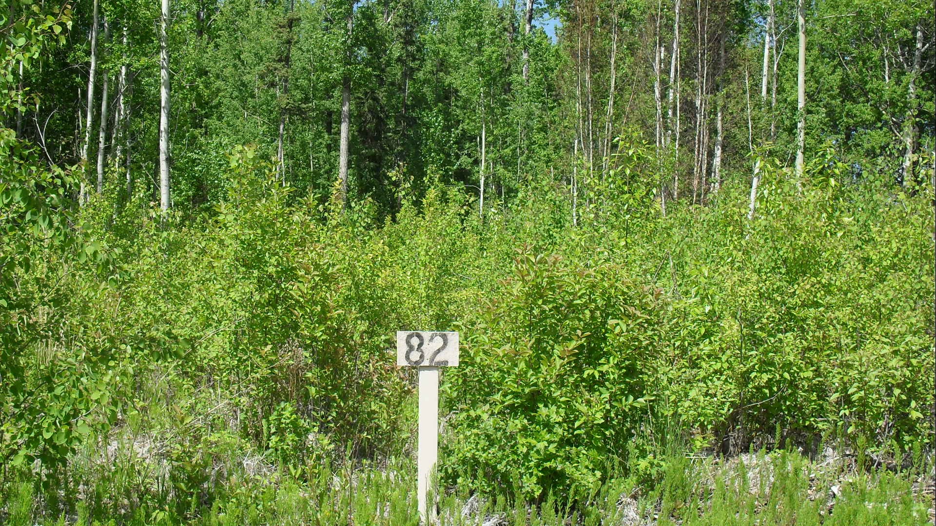 unit 82