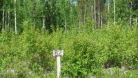 SDC10911
