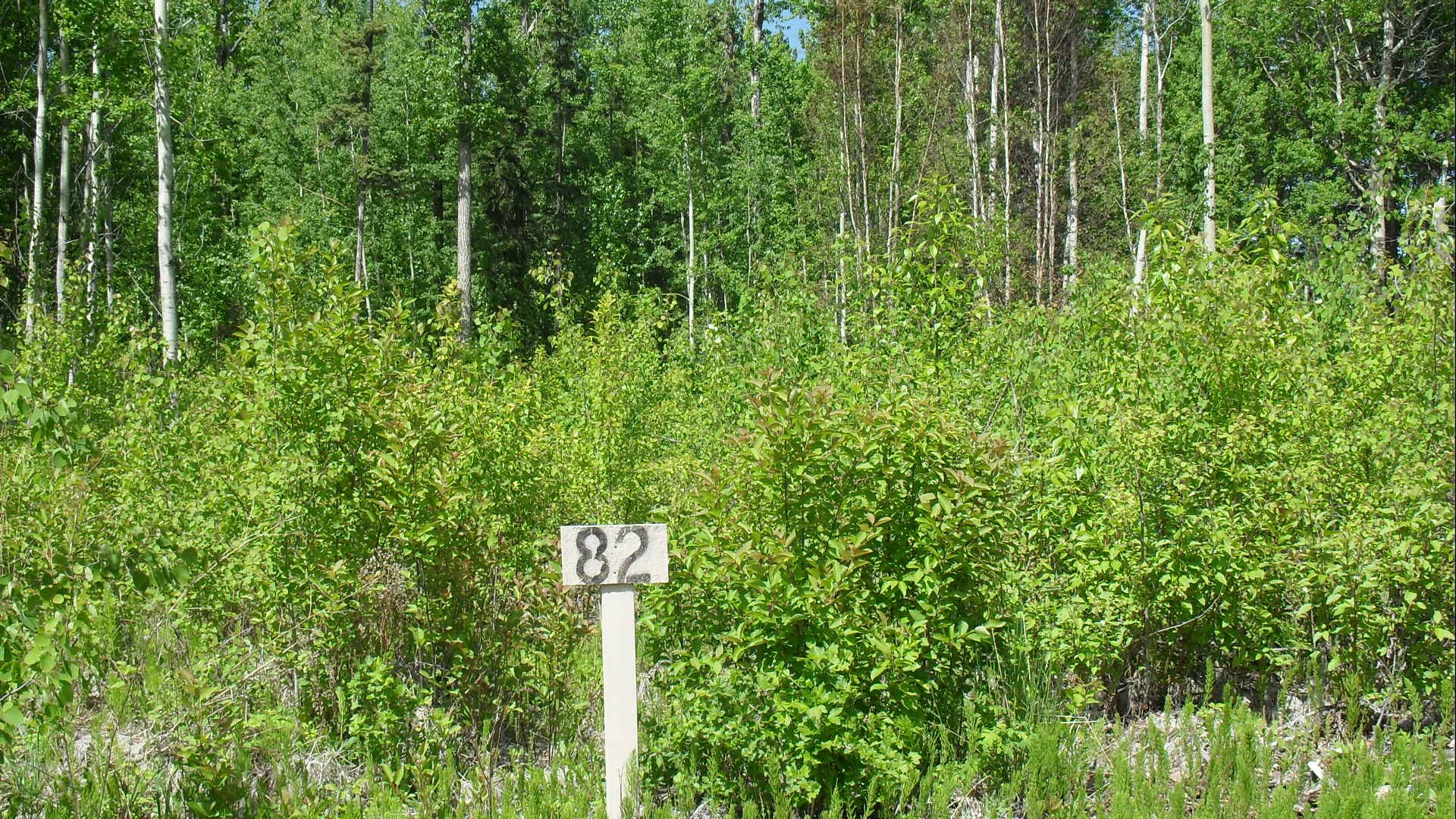 SDC10911