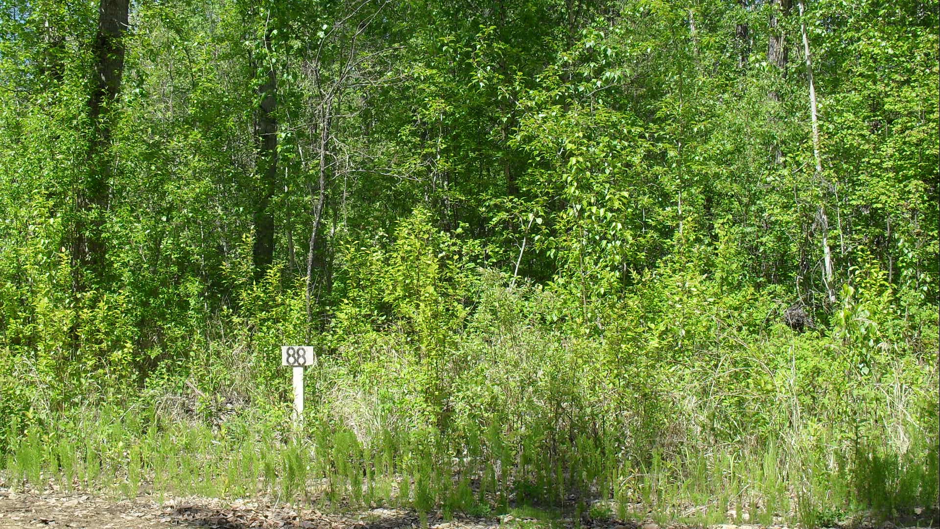 SDC10910
